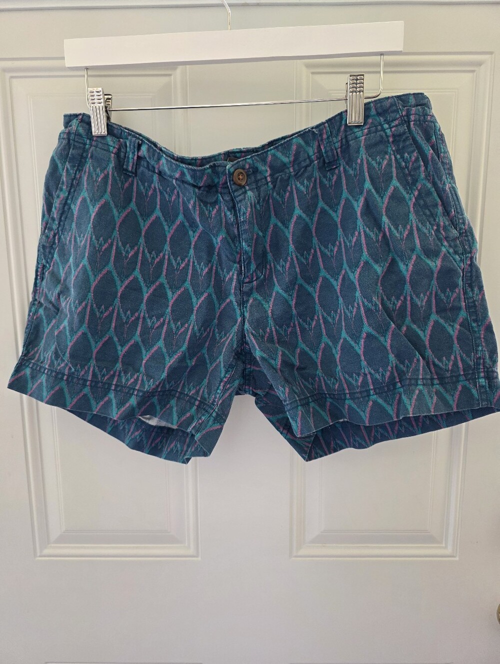 The North Face Patterned Teal Cotton Shorts Size 12